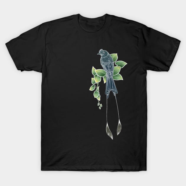 Greater Racket Tailed Drongo T-Shirt by GnauArt